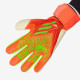 Sarung Tangan Kiper Adidas Predator GL Competition Solar Red Team Solar Green Team Solar Green HC0619