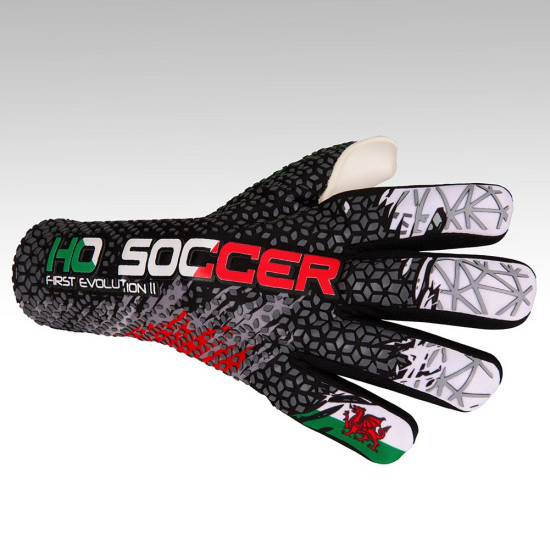 Sarung Tangan Kiper HO Soccer First Evolution Patriot Wales Black 520170