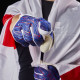 Sarung Tangan Kiper One Apex Pro PowerBeast Blue APEX-PWRBEAST Sarung Tangan Kiper One Apex Pro PowerBeast Blue APEX-PWRBEAST